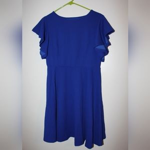 Royal Blue Butterfly Sleeve Dress